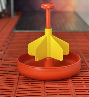 Plato comedero para lechones de primera edad